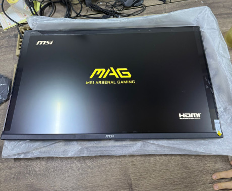MSI 31.5
